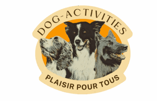 Dog Activities
